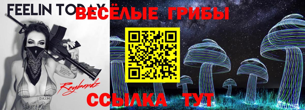 Галлюциногенные грибы Cubensis Улан-Удэ