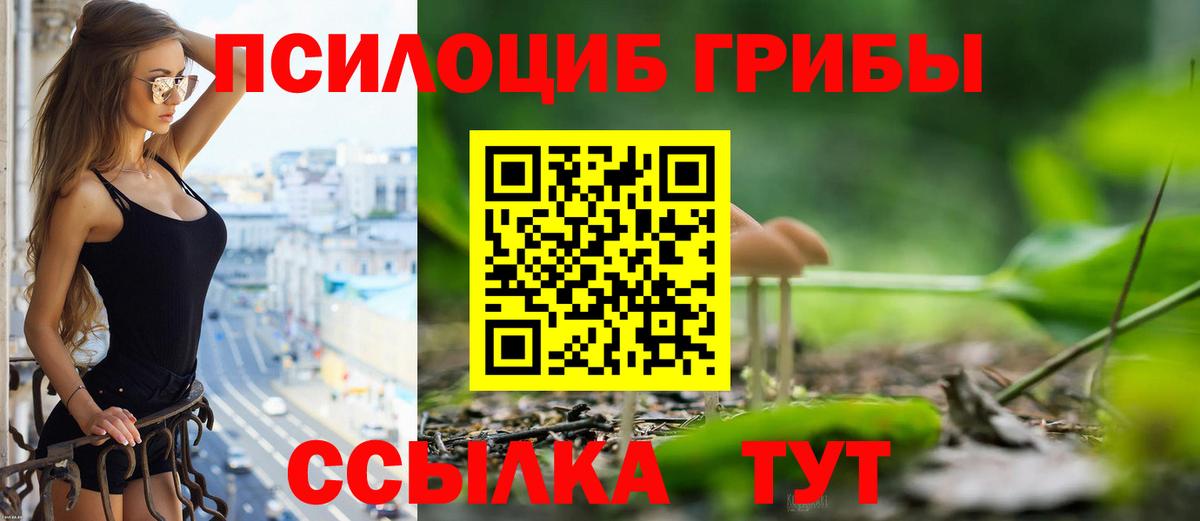 Улан-Удэ  Псилоцибиновые грибы прущие грибы  Псилоцибиновые грибы GOLDEN TEACHER  Вход с VPN 